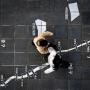 하천(유등천3) | 대전 드론촬영 사진 원본제공 | 허가에서 촬영까지