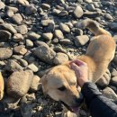 탑골민박 이미지