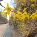 버들국수 - 오산시 성호대로 130 | 버들국수