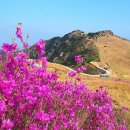 화왕산 Daum카페