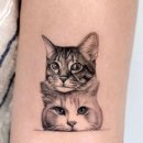 Pet & Cat 이미지