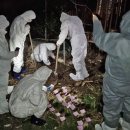 사체농장 이미지