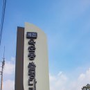 [제천 여행] 지역명사와 함께하는 1박 2일 제천 팸투어 1-1(옥순봉 출렁다리, 밥상위의 보약한첩...
