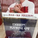 정관장경기태전 - 4973 | 정관장경기태전