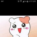 유완