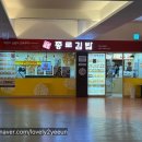 종로김밥 모나용평점
