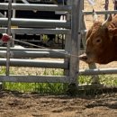 과반농장 이미지