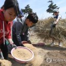 연합왕겨 이미지