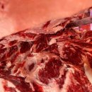 신암축산 이미지