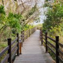 제주 오름 산책 이미지