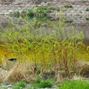 신생교회 앞 이미지