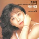 새야새야 Daum카페