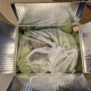 정진농장 이미지