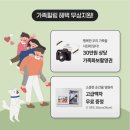 28-A | 인천 미추홀구 가족사진 가짜보다 진짜