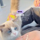 솔빈 마루 이미지