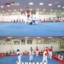 강호동태권도 스포츠동아
