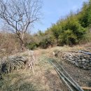 이어도공인중개사사무소 이미지