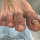 레푸스앤두두뷰티 이미지