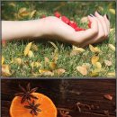 자연닮은한의원 이미지