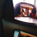 태성주유소 이미지