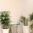 ACE골프연습장 이미지