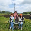 교래삼다수마을 협동조합 네이버블로그