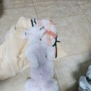 니니앤제리 이미지