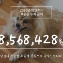 포루시스 네이버블로그