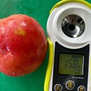 찬기농장 이미지