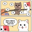 채움 | 그토록 기다린... 청년내일채움공제 만기 후기 (˵ •̀ ᴗ - ˵ ) ✧