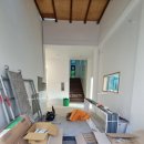 포레스트 하우스 애견유치원 이미지