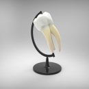 365아홉가지약속치과의원 이미지