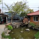 엄마와까치집두개 이미지