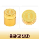 공*진