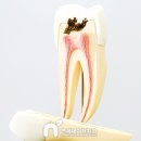 설만경로당 이미지