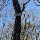 남해-307 이미지