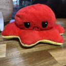 오꼬다꼬 전대후문점 이미지