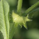 청풍한의원 이미지