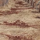 황산농기계 이미지