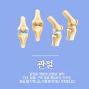 한양류마플러스내과의원 이미지