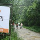 곰배령에버그린