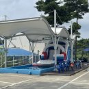 민들레미코 이미지