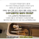토마스정형외과의원 이미지