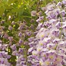 내당노인복지관 이미지