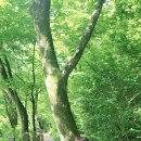세냐필라테스