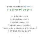 플로바이나