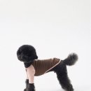 ［고산］옷잘입는강아지 펫패션 | [내돈내산] 옷 싫어하는 비숑, 겨울 옷 고르는 기준 + 티셔츠 실착 리뷰(1탄)