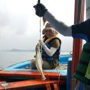 참새콘도민박 이미지