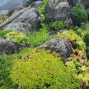 충청북도 괴산군 아쿠아리움. 중원대학교 세계박물관 이미지