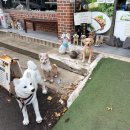 화순고인돌전통시장(읍사무소) | 화순 맛집 화순옛날두부 직접 만든 두부 현지인 추천 식당